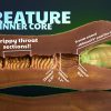 Creature