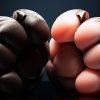Gideon's Paw