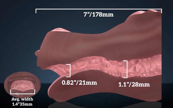 Hudsons-muzzle_internal Hudson's Muzzle