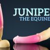 Juniper