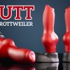Rutt