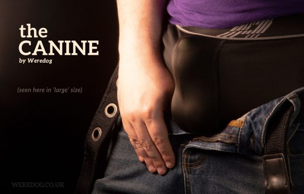 sheathbulge-text The Canine