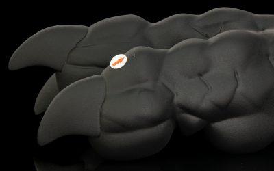 Alternative view of Mason's Hindpaws - Regular Pair Flop