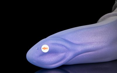 Alternative view of Loch - Large Flop