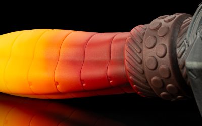 Alternative view of Scout - Extra Large