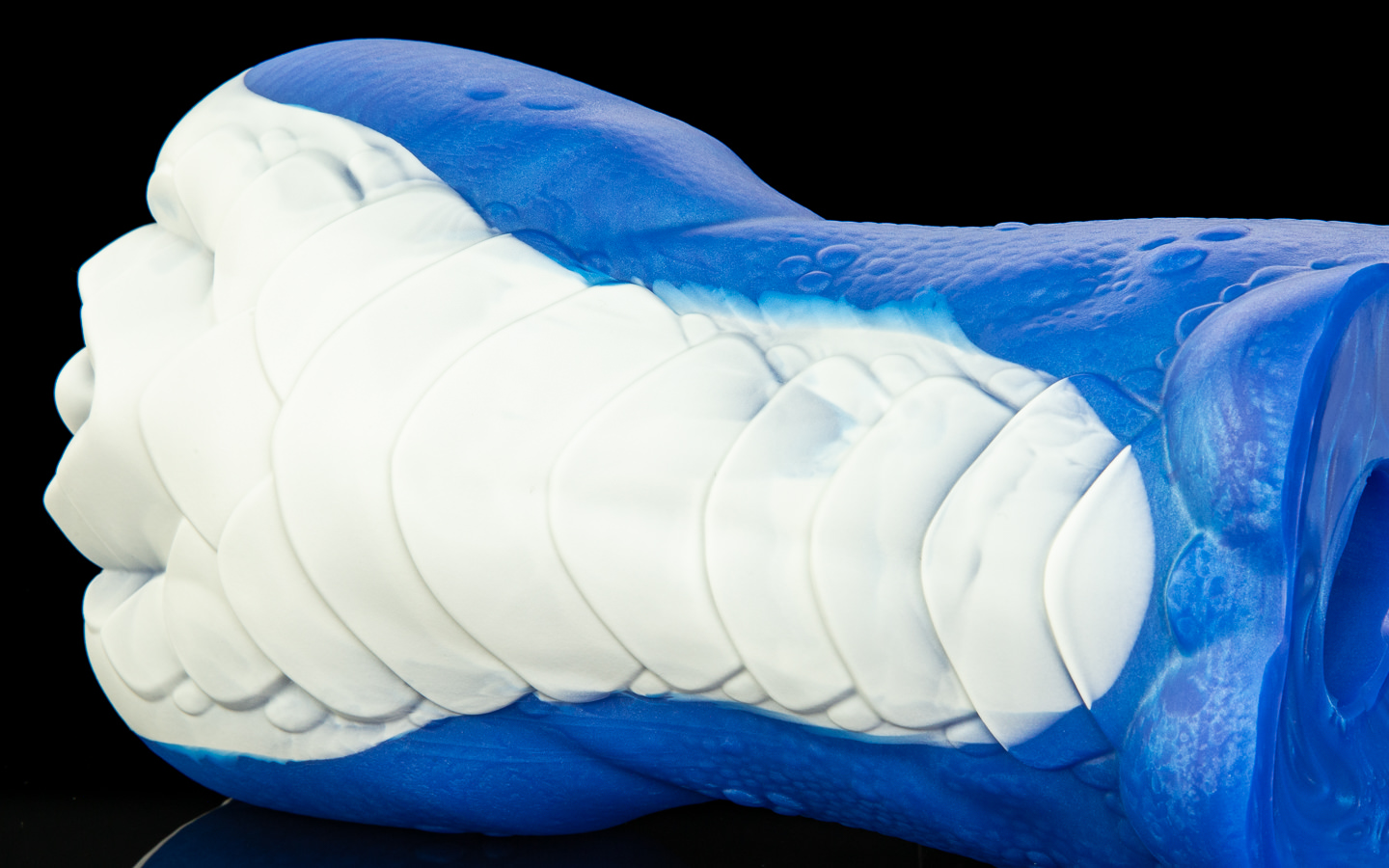 Sapphire - One Size - Image 2