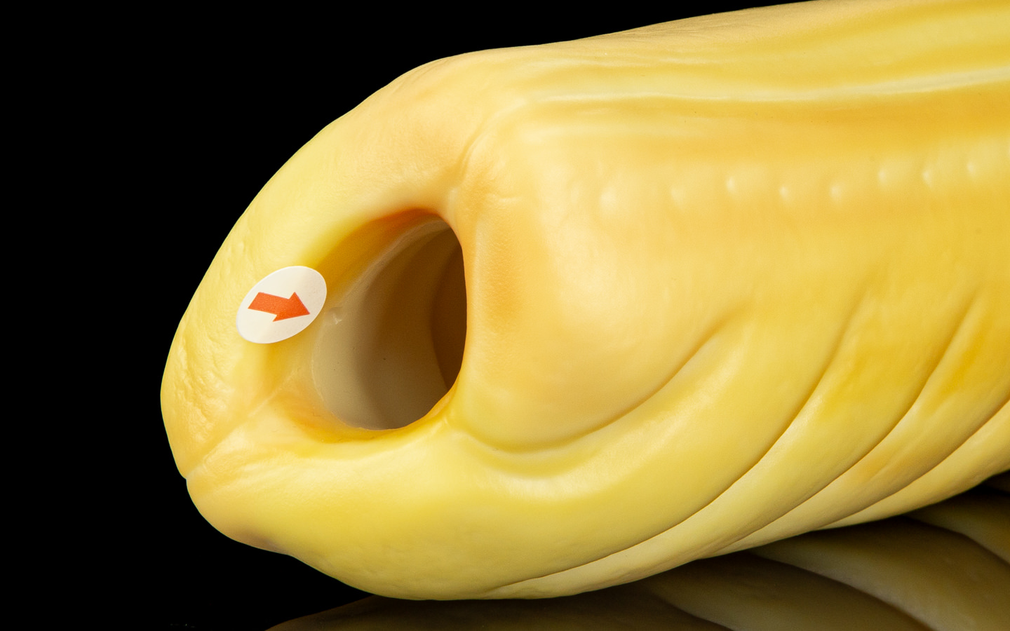 Sausage Roll - One Size Flop - Image 2